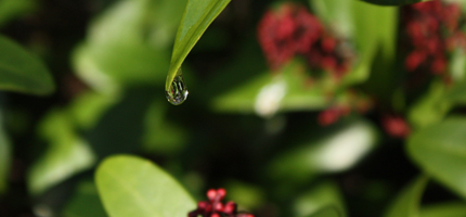 Detailfotografie